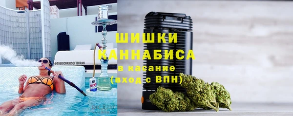 мдпв Горнозаводск