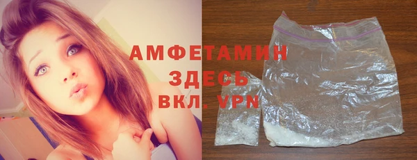 ПСИЛОЦИБИНОВЫЕ ГРИБЫ Гусь-Хрустальный