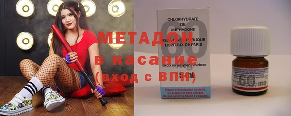 прущие грибы Горно-Алтайск
