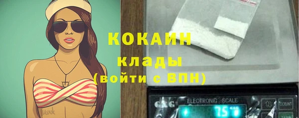 прущие грибы Горно-Алтайск
