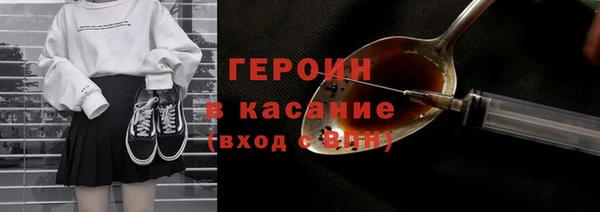 прущие грибы Горно-Алтайск