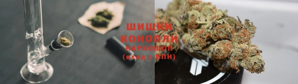 прущая мука Горняк