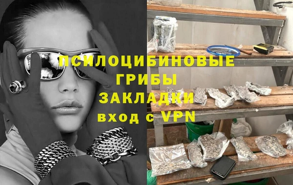 мдпв Горнозаводск