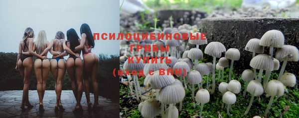 ПСИЛОЦИБИНОВЫЕ ГРИБЫ Гусь-Хрустальный