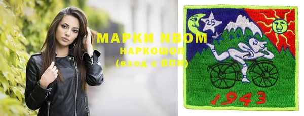прущие грибы Горно-Алтайск
