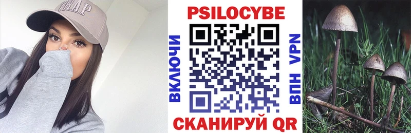Псилоцибиновые грибы прущие грибы Купить где Арсеньев
