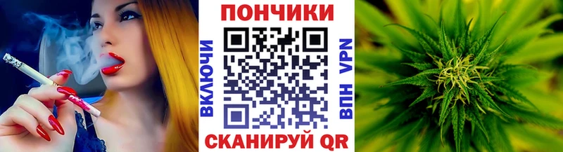 Купить где  Арсеньев  Каннабис VHQ 